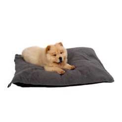 51 Degrees North Sheep Hundekissen -KONG Verkaufsgeschäft 51 degrees north sheep hondenkussen 141479 0500 none