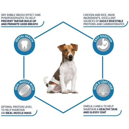 Affinity Advance Adult Mini - Hund 4 Affinity Advance Adult Mini - Hund – Bild 2