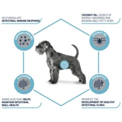 Affinity Advance Veterinary Diets Gastroenteric Hund -KONG Verkaufsgeschäft affinity advance veterinary diets gastroenteric hond 177655 0500 none