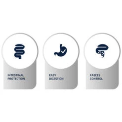 Affinity Advance Veterinary Diets Gastroenteric Hund -KONG Verkaufsgeschäft affinity advance veterinary diets gastroenteric hond 177658 0500 none