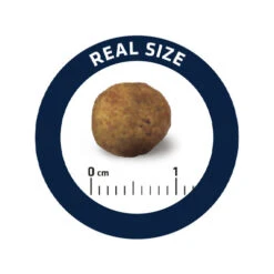 Affinity Advance Veterinary Diets Gastroenteric Hund -KONG Verkaufsgeschäft affinity advance veterinary diets gastroenteric hond 177679 0500 none