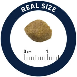 Affinity Advance Veterinary Diets Urinary Hund -KONG Verkaufsgeschäft affinity advance veterinary diets urinary hond 177694 0500 none