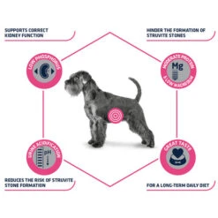 Affinity Advance Veterinary Diets Urinary Hund -KONG Verkaufsgeschäft affinity advance veterinary diets urinary hond 177715 0500 none