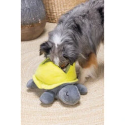 Beeztees Hide And Seek Schildo -KONG Verkaufsgeschäft beeztees hide and seek schildo 221788 0500 none