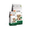 Biofood BF®Petfood Für Puppys 2 Biofood BF®Petfood Für Puppys -KONG Verkaufsgeschäft bfpetfood puppy 210626 0500 none