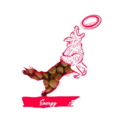 Calibra Dog Expert Nutrition Energy -KONG Verkaufsgeschäft calibra dog expert nutrition energy 163534 0500 none