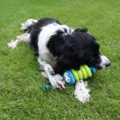 Coockoo Larry -KONG Verkaufsgeschäft coockoo larry 216712 0500 none