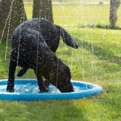 CoolPets Splash Pool Water Sprinkler -KONG Verkaufsgeschäft coolpets splash pool sproeier 174286 0500 none
