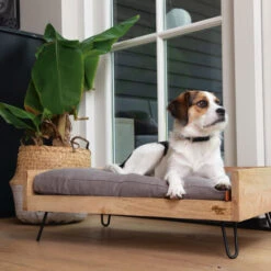 Designed By Lotte Hundebett Turana -KONG Verkaufsgeschäft designed by lotte ligmand turana 170032 0500 none