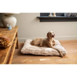 Designed By Lotte Xanti Hundekissen 8 Designed By Lotte Xanti Hundekissen -KONG Verkaufsgeschäft designed by lotte xanti hondenkussen 188127 0500 none