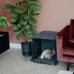 District 70 Sherpa Liegematte -KONG Verkaufsgeschäft district 70 sherpa bench mat 191723 0500 none