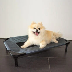 Duvo+ Hundeliege Relax -KONG Verkaufsgeschäft duvo hondenstretcher relax 199796 0500 none