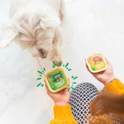 Edgard & Cooper Adult - Lamm & Rind - Im Schälchen 5 Edgard & Cooper Adult - Lamm & Rind - Im Schälchen -KONG Verkaufsgeschäft edgard cooper adult lam rund kuipje 168636 0500 none