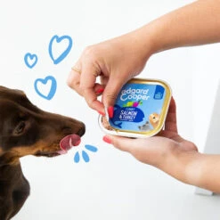 Edgard & Cooper Adult - Lachs Und Truthahn - Schale 10 Edgard & Cooper Adult - Lachs Und Truthahn - Schale -KONG Verkaufsgeschäft edgard cooper adult zalm kalkoen kuipje 208616 0500 none