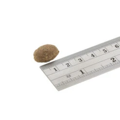 Fish4Dogs Finest Adult Complete - Sardine Große Brocken -KONG Verkaufsgeschäft fish4dogs finest adult complete sardine grote brok 160928 0500 none