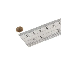 Fish4Dogs Finest Adult Complete - Sardine Kleine Brocken -KONG Verkaufsgeschäft fish4dogs finest adult complete sardine kleine brok 160934 0500 none