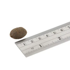 Fish4Dogs Finest Adult Complete - Lachs Große Brocken -KONG Verkaufsgeschäft fish4dogs finest adult complete zalm grote brok 160940 0500 none