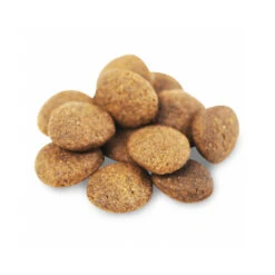 Fish4Dogs Finest Adult Complete - Lachs Große Brocken -KONG Verkaufsgeschäft fish4dogs finest adult complete zalm grote brok 160943 0500 none