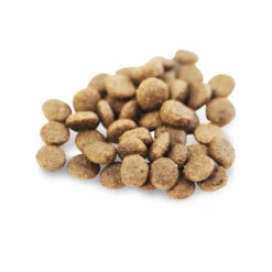 Fish4Dogs Finest Adult Complete - Lachs Kleine Brocken 6 Fish4Dogs Finest Adult Complete - Lachs Kleine Brocken -KONG Verkaufsgeschäft fish4dogs finest adult complete zalm kleine brok 160952 0500 none