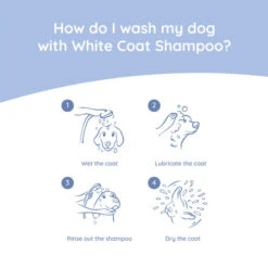 Greenfields Malteser Care Set 11 Greenfields Malteser Care Set -KONG Verkaufsgeschäft greenfields malteser care set 220905 0500 none