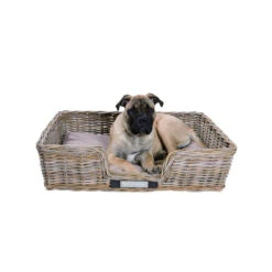 Happy House Weidenkorb Eckig -KONG Verkaufsgeschäft happy house rieten mand recht 167215 0500 none