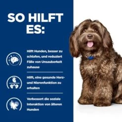 Hill's B/d Ageing & Alertness - Prescription Diet - Canine -KONG Verkaufsgeschäft hills bd ageing alertness prescription diet canine 217861 0500 none