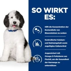 Hill's C/d Multicare Ragout - Prescription Diet - Canine 13 Hill's C/d Multicare Ragout - Prescription Diet - Canine -KONG Verkaufsgeschäft hills cd multicare stoofpotje prescription diet canine 211403 0500 none