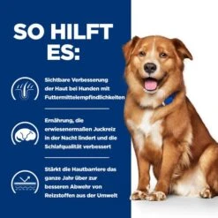 Hill's Derm Complete - Prescription Diet - Canine -KONG Verkaufsgeschäft hills derm complete prescription diet canine 211634 0500 none