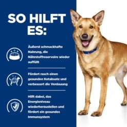 Hill's I/d Digestive Care - Prescription Diet - Canine -KONG Verkaufsgeschäft hills id digestive care prescription diet canine 217957 0500 none