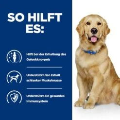Hill's J/d Joint Care - Prescription Diet - Canine 12 Hill's J/d Joint Care - Prescription Diet - Canine -KONG Verkaufsgeschäft hills jd joint care prescription diet canine 218031 0500 none