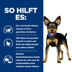 Hill's Metabolic Mini - Prescription Diet - Canine 14 Hill's Metabolic Mini - Prescription Diet - Canine -KONG Verkaufsgeschäft hills metabolic mini prescription diet canine 218076 0500 none