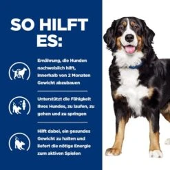 Hill's Metabolic + Mobility - Prescription Diet - Canine -KONG Verkaufsgeschäft hills metabolic mobility prescription diet canine 212783 0500 none