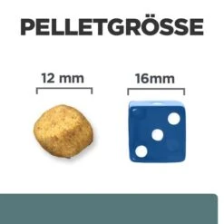 Hill's Prescription Diet W/d Diabetes Care - Canine 13 Hill's Prescription Diet W/d Diabetes Care - Canine -KONG Verkaufsgeschäft hills prescription diet wd diabetes care canine 218176 0500 none