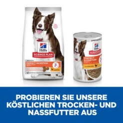 Hill's Science Plan Adult Perfect Digestion Medium 13 Hill's Science Plan Adult Perfect Digestion Medium -KONG Verkaufsgeschäft hills science plan adult perfect digestion medium hondenvoer 181333 0500 none