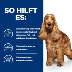 Hill's Z/d Food Sensitivities - Prescription Diet - Canine 18 Hill's Z/d Food Sensitivities - Prescription Diet - Canine -KONG Verkaufsgeschäft hills zd food sensitivities prescription diet canine 214331 0500 none