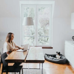 Hunter Eckkorb Livingstone - Grau -KONG Verkaufsgeschäft hunter hoekmand livingstone grijs 175903 0500 none