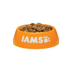 IAMS For Vitality Adult Large Breed Dog - Chicken -KONG Verkaufsgeschäft iams adult large breed dog 133688 0500 none