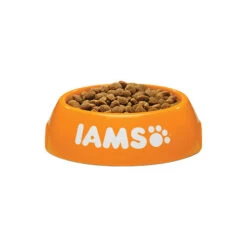 IAMS For Vitality Dog Light In Fat -KONG Verkaufsgeschäft iams dog light in fat 133757 0500 none
