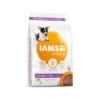 IAMS For Vitality Dog Puppy & Junior - Small & Medium -KONG Verkaufsgeschäft iams dog puppy junior small medium 133679 0500 none