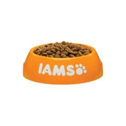 IAMS For Vitality Dog Puppy & Junior - Small & Medium 6 IAMS For Vitality Dog Puppy & Junior - Small & Medium -KONG Verkaufsgeschäft iams dog puppy junior small medium 133682 0500 none