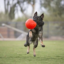 Jolly Soccer Ball -KONG Verkaufsgeschäft jolly soccer ball 162241 0500 none