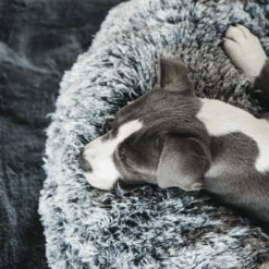 Kentucky Dogwear - Comfort Donut-Hundekorb 11 Kentucky Dogwear - Comfort Donut-Hundekorb -KONG Verkaufsgeschäft kentucky dogwear comfort donut hondenmand 219723 0500 none