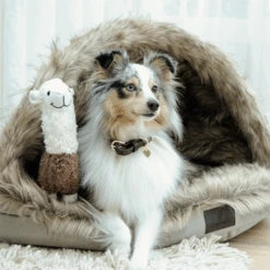 Kentucky Dogwear Iglo Hundekorb -KONG Verkaufsgeschäft kentucky dogwear iglo hondenmand 219696 0500 none