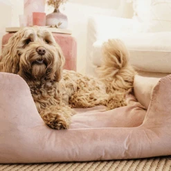 Kentucky Dogwear Velvet Hundekorb -KONG Verkaufsgeschäft kentucky dogwear velvet hondenmand 219658 0500 none