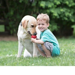 KONG Classic -KONG Verkaufsgeschäft kong classic 98642 0500 none