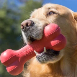 KONG Goodie Bone 8 KONG Goodie Bone -KONG Verkaufsgeschäft kong goodie bone 194186 0500 none