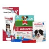 Medpets Welpenpaket Ab 25 Kg 1 Medpets Welpenpaket Ab 25 Kg -KONG Verkaufsgeschäft medpets puppypakket vanaf 25 kg 136735 0500 none
