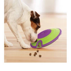 Nina Ottosson Dog Treat Maze -KONG Verkaufsgeschäft nina ottosson dog treat maze 96110 0500 none