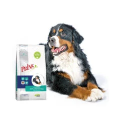 Prins ProCare Croque Skin & Intestinal Hypoallergic 7 Prins ProCare Croque Skin & Intestinal Hypoallergic -KONG Verkaufsgeschäft prins procare croque skin intestinal hypoallergic 171451 0500 none