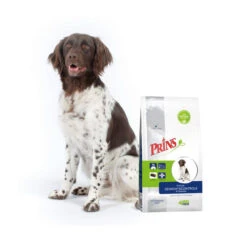 Prins ProCare Gewichtscontrole & Diabetes -KONG Verkaufsgeschäft prins procare gewichtscontrole diabetes 171940 0500 none